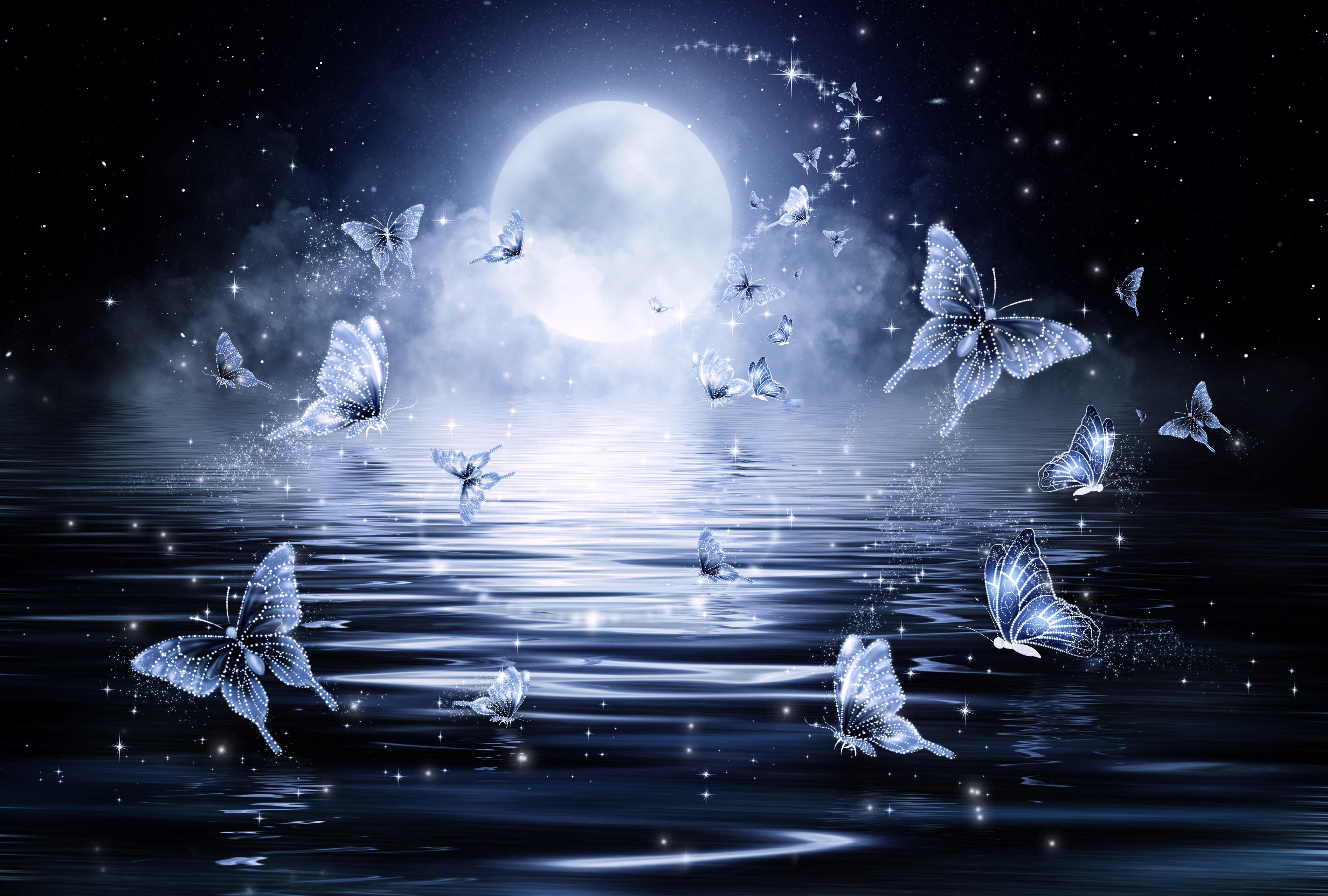 Bulan, Kupu-kupu, Bintang, Glitter, Seni - Moon Night , HD Wallpaper & Backgrounds