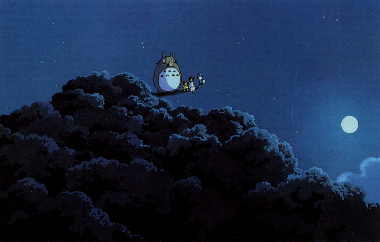Malam Anime Ruang Langit Bumi Bulan Sinar Bulan Totoro - Studio Ghibli Night Background , HD Wallpaper & Backgrounds