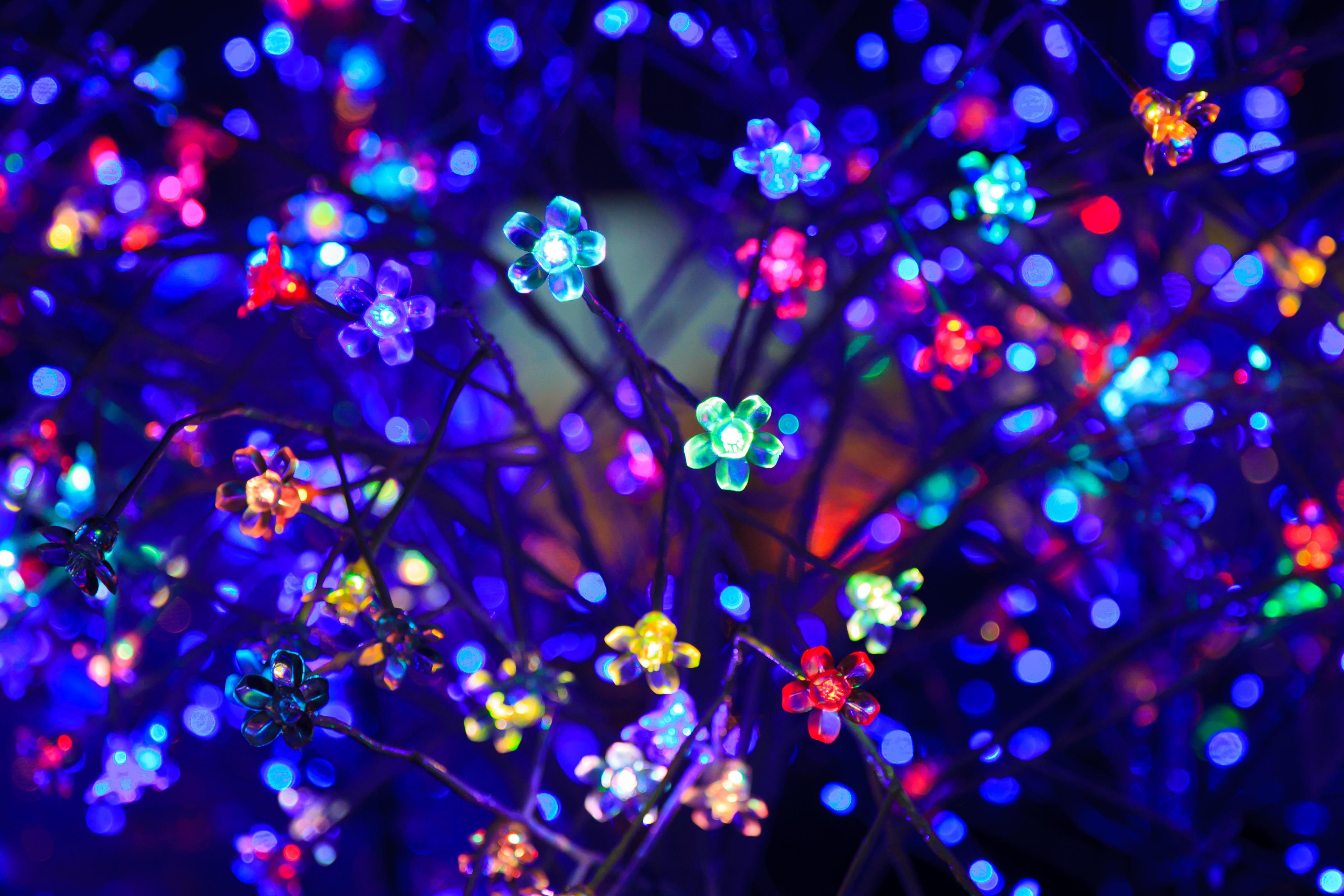 Bulbs, Flowers, Neon, Light, Lighting, Glare, Bokeh, - Diwali Lights , HD Wallpaper & Backgrounds