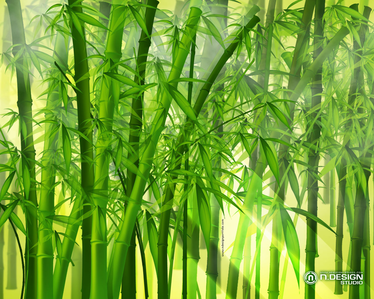 Posted - Bamboo Tree Wallpaper Hd , HD Wallpaper & Backgrounds
