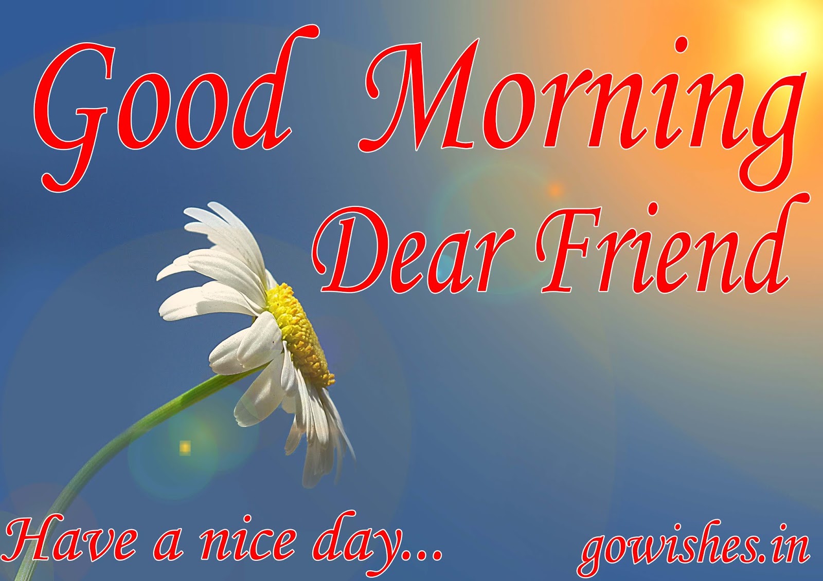Good Morning Shayari & Wallpaper - Best Good Morning Shayari , HD Wallpaper & Backgrounds