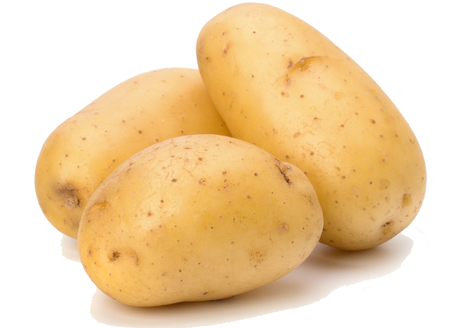 Pilled Young Potato - Potato Png , HD Wallpaper & Backgrounds