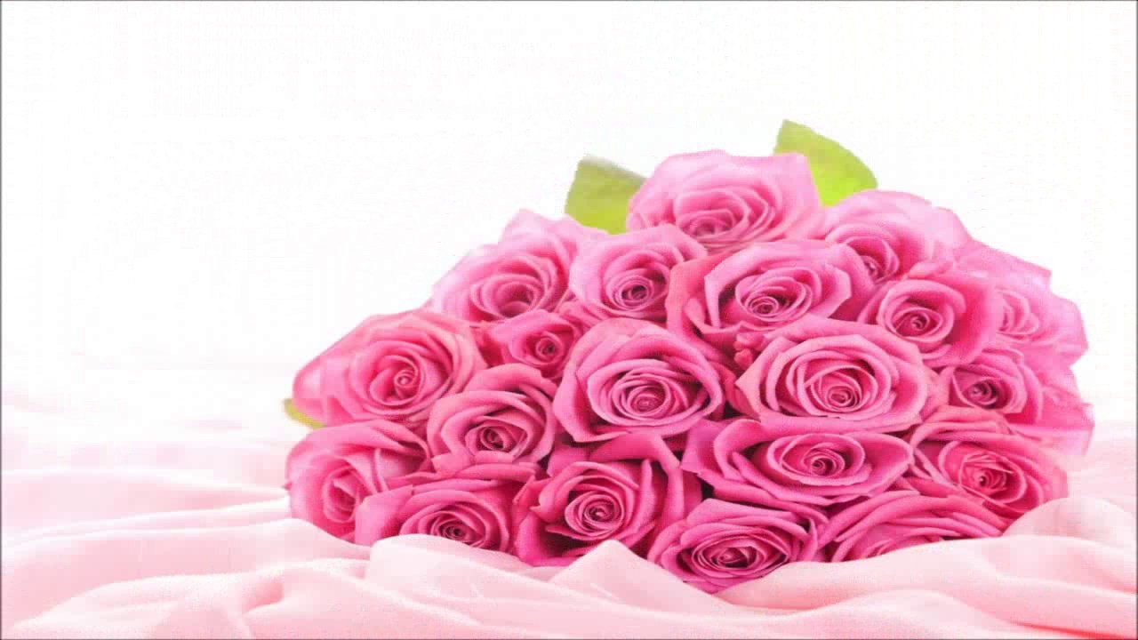 Special Pink Rose Hd Wallpaper Images - Hd Wallpaper Flower Rose Pink , HD Wallpaper & Backgrounds
