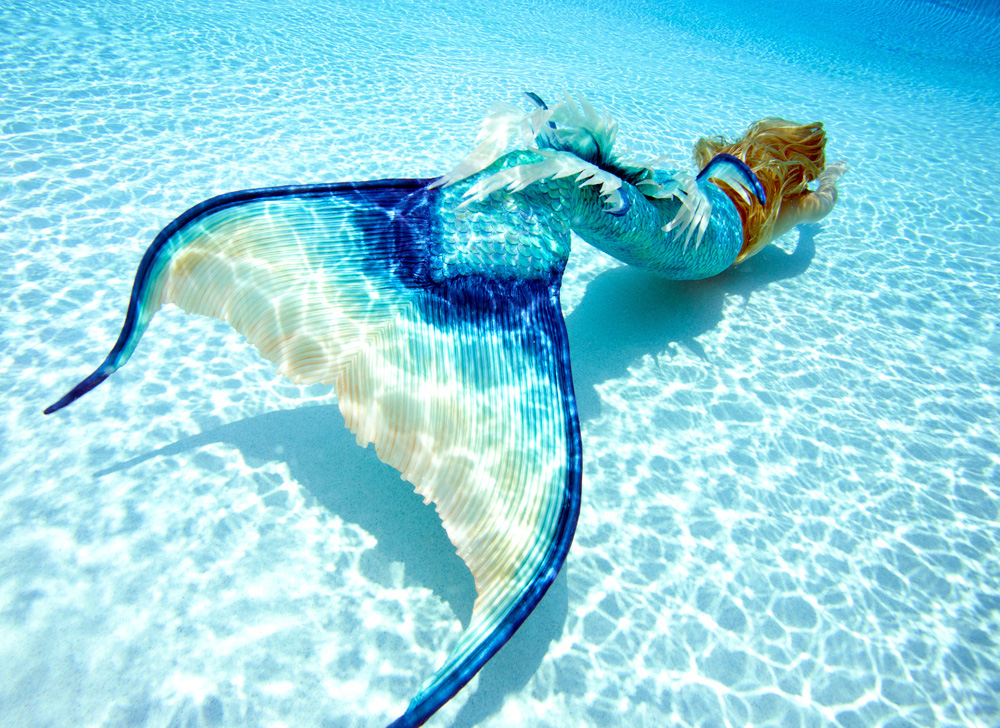 Real Mermaid Wallpaper - Mermaid Real , HD Wallpaper & Backgrounds