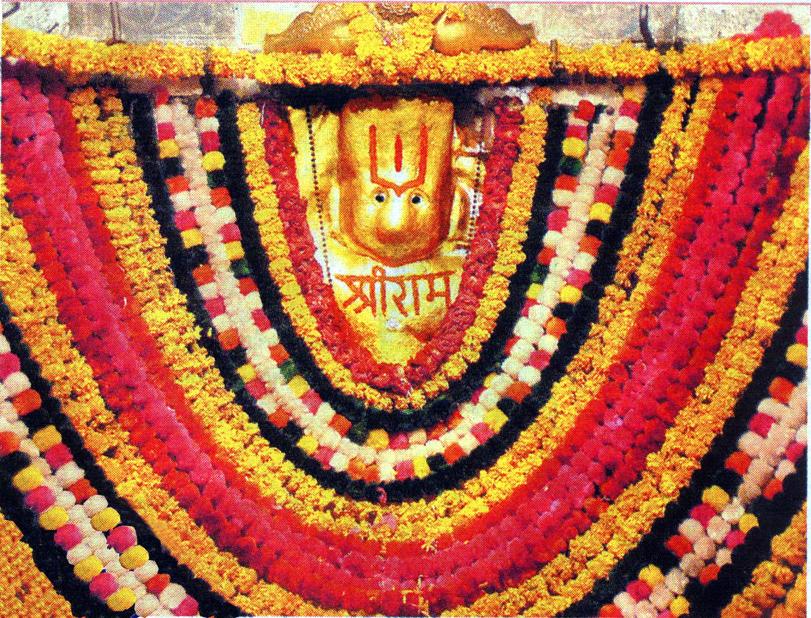 Campgif - - Camp Hanuman Ahmedabad , HD Wallpaper & Backgrounds