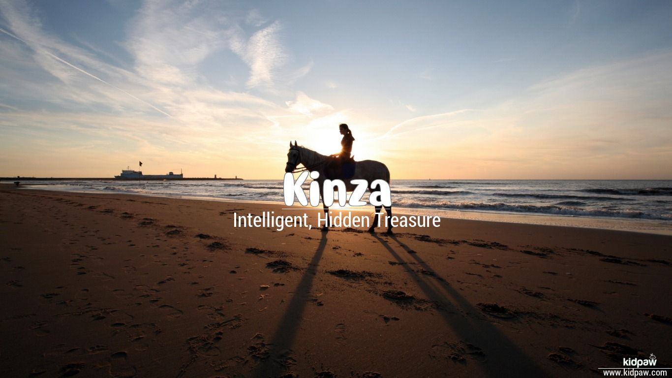 Kinza Name Wallpaper - Horse Silhouette , HD Wallpaper & Backgrounds