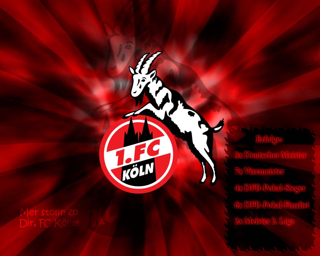 Fc Koln Football Club Profile - 1 Fc Köln Werder Bremen , HD Wallpaper & Backgrounds