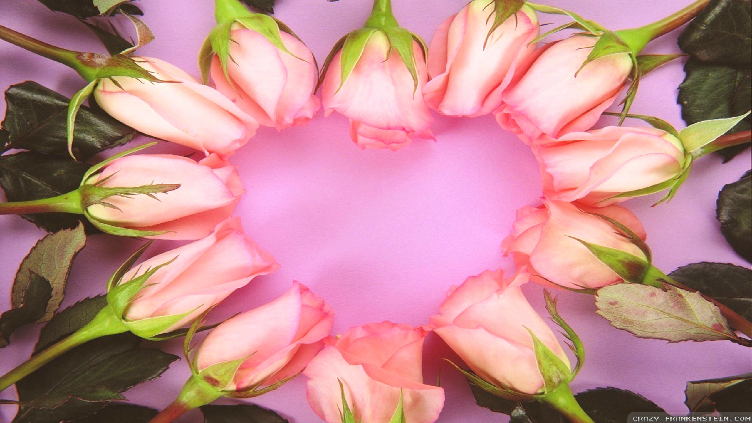 Pinks Gerberas Hearts - Pink Roses Flowers Heart , HD Wallpaper & Backgrounds