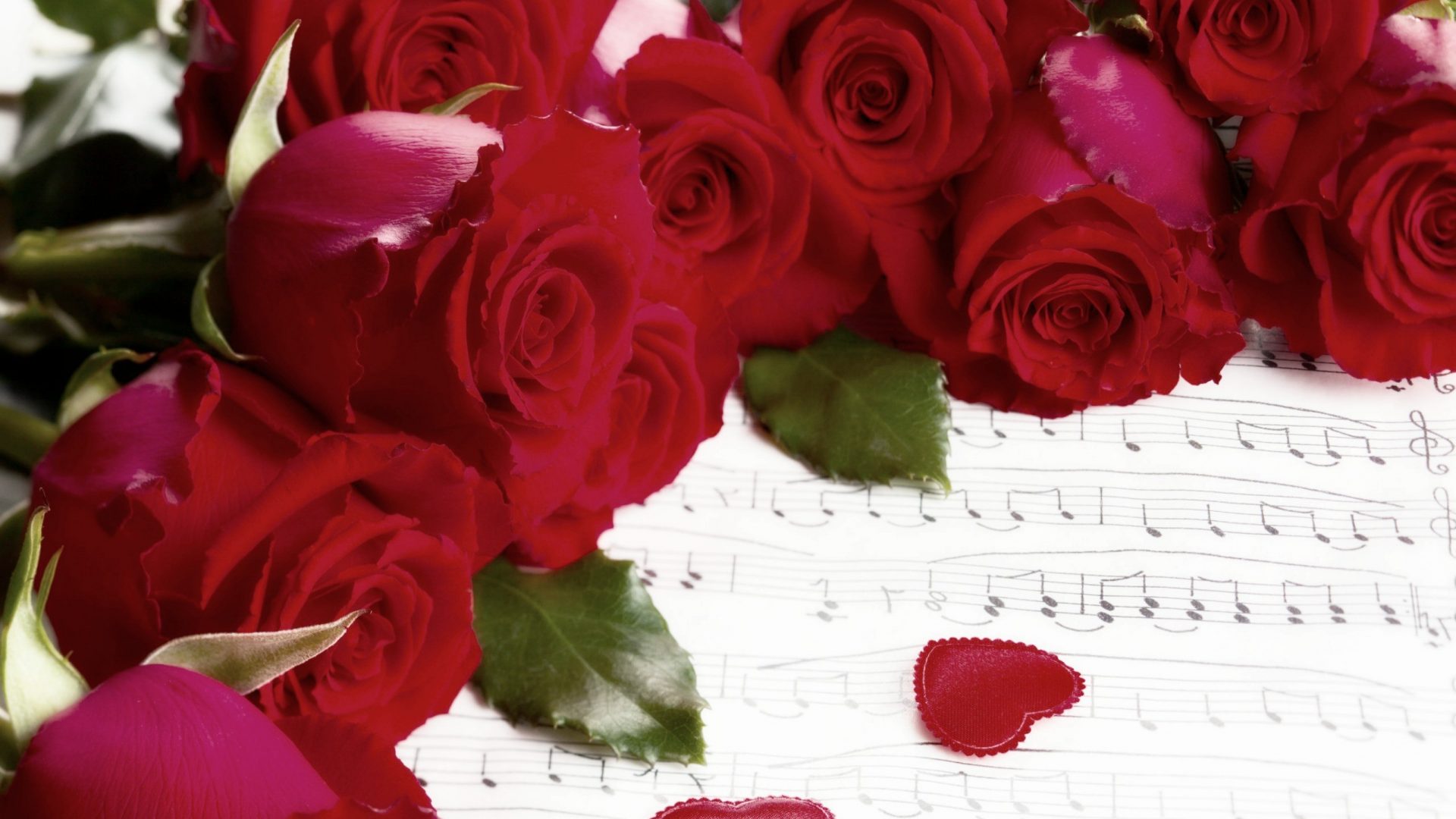 Valentine Hearts Notes Music Heart Holiday Red Roses - Garden Roses , HD Wallpaper & Backgrounds
