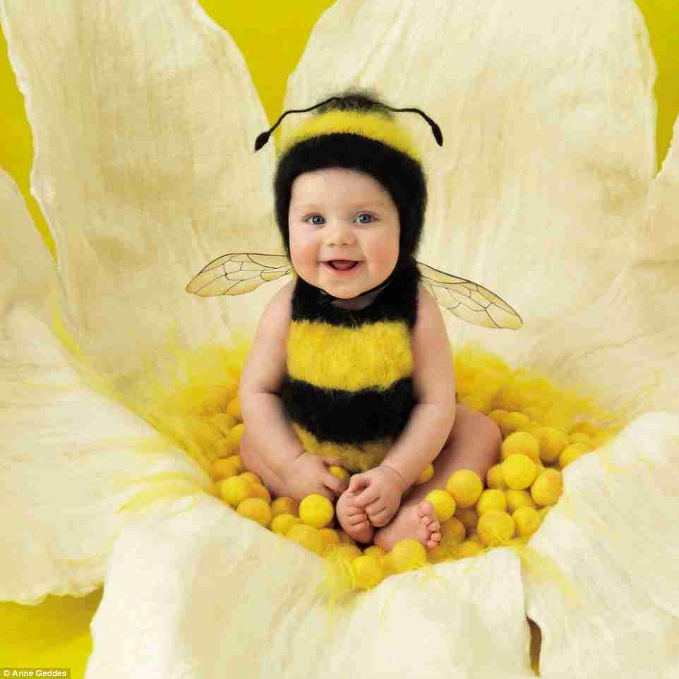 Cute Baby Smile Hd Wallpapers Pics Download Hd Walls - Anne Geddes Bee Baby , HD Wallpaper & Backgrounds