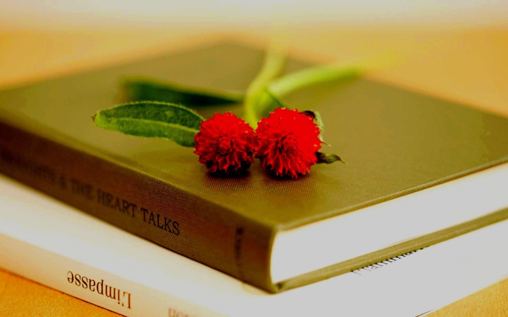 Flores Y Libros - Book Images Hd , HD Wallpaper & Backgrounds