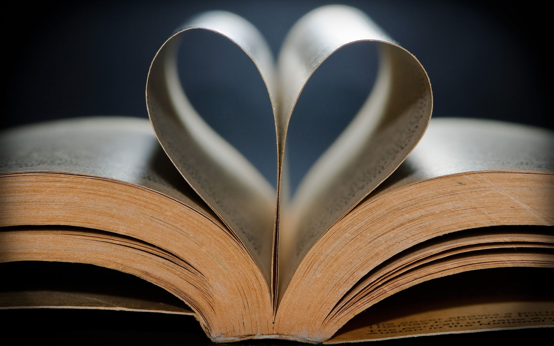 World Book Day, Reading, Love, Writing, Book Hd Wallpaper, - Ti Lo Encuentro Todo , HD Wallpaper & Backgrounds