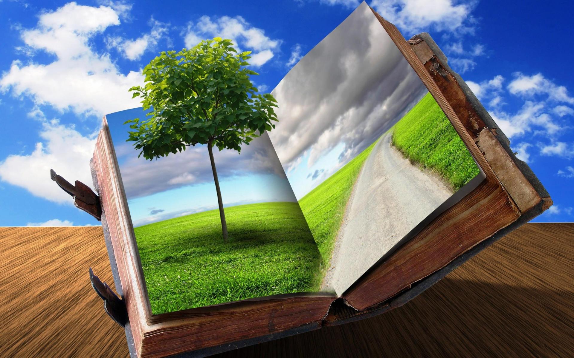 Árbol De Libros Fondos De Pantalla - Imagination Of Nature , HD Wallpaper & Backgrounds