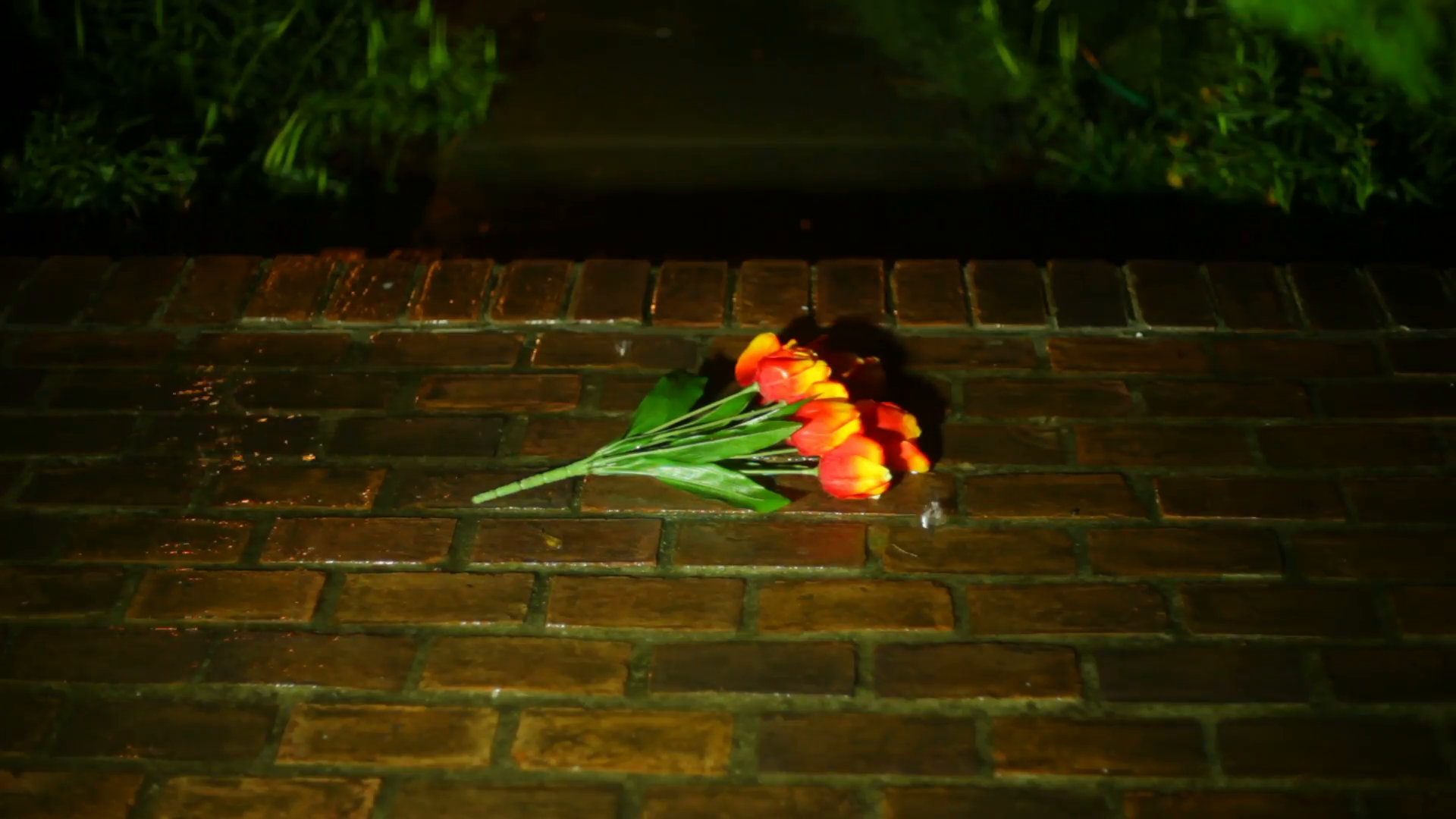 Sad Flowers Rain Raining Water Stock Video Footage - Rain And Sad Flower , HD Wallpaper & Backgrounds