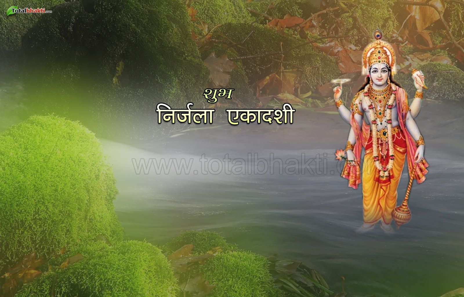 Festivals Wallpaper, Hindu Wallpaper, Nirjala Ekadashi - Lord Vishnu , HD Wallpaper & Backgrounds