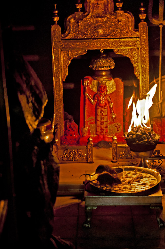 The Sanctum Sanctotum Of Karni Mata At The Rat Temple - Karni Mata Image Full Hd , HD Wallpaper & Backgrounds