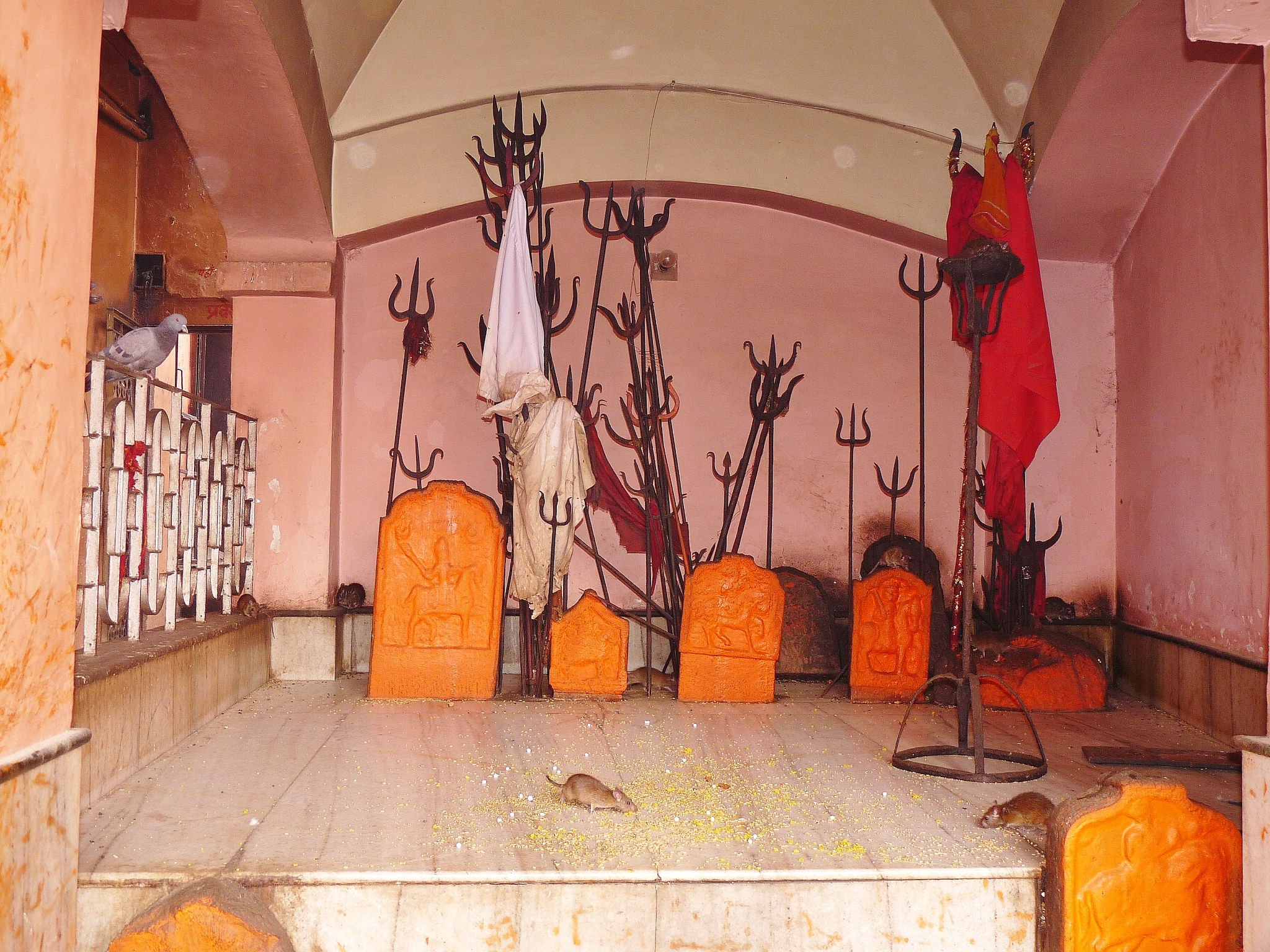 Warding Off Evil At Karni Mata Rat Temple In Bikaner, - Karni Mata All Hd , HD Wallpaper & Backgrounds