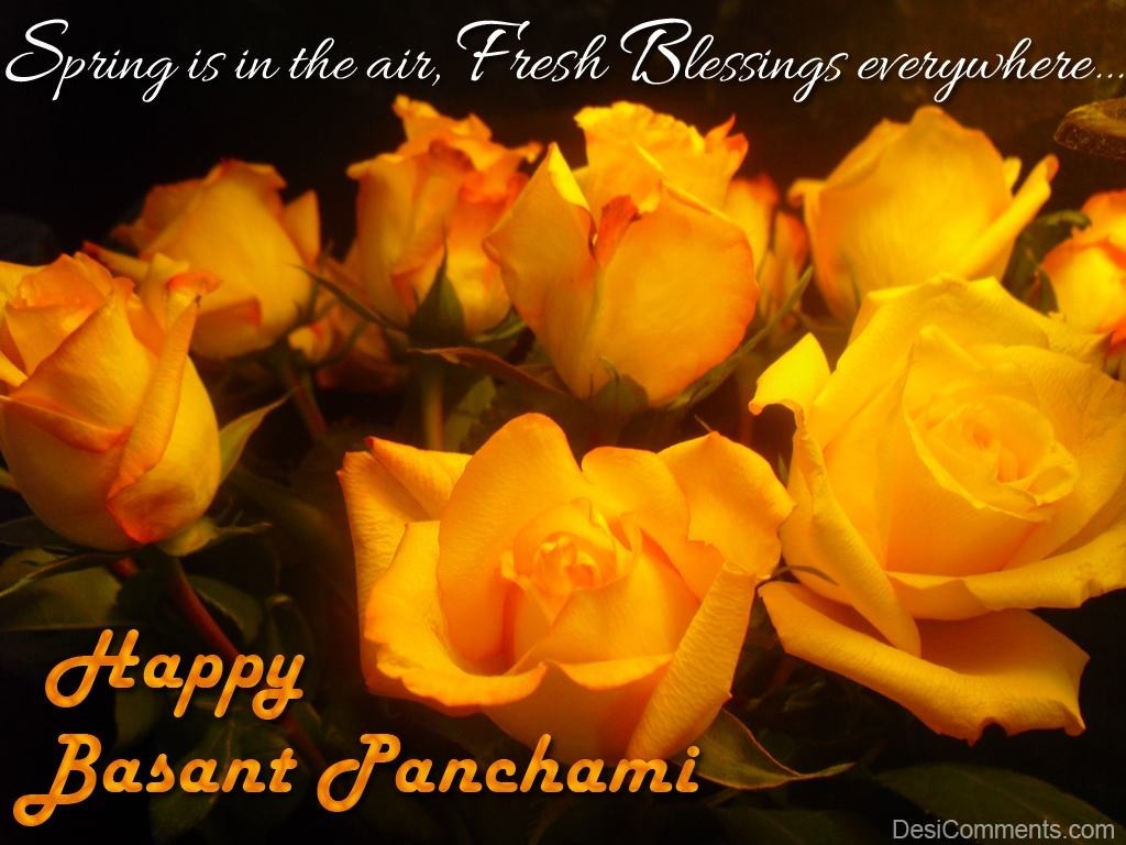 Happy Vasant Panchami - Basant Panchami Quotes In English , HD Wallpaper & Backgrounds