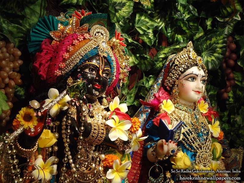 Find This Pin And More On Iskcon Amritsar , HD Wallpaper & Backgrounds