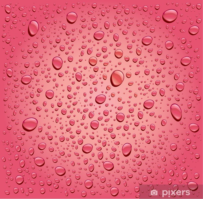 Pink Rose Water Droplets Background Vinyl Wall Mural - Rose Water Drop Background , HD Wallpaper & Backgrounds