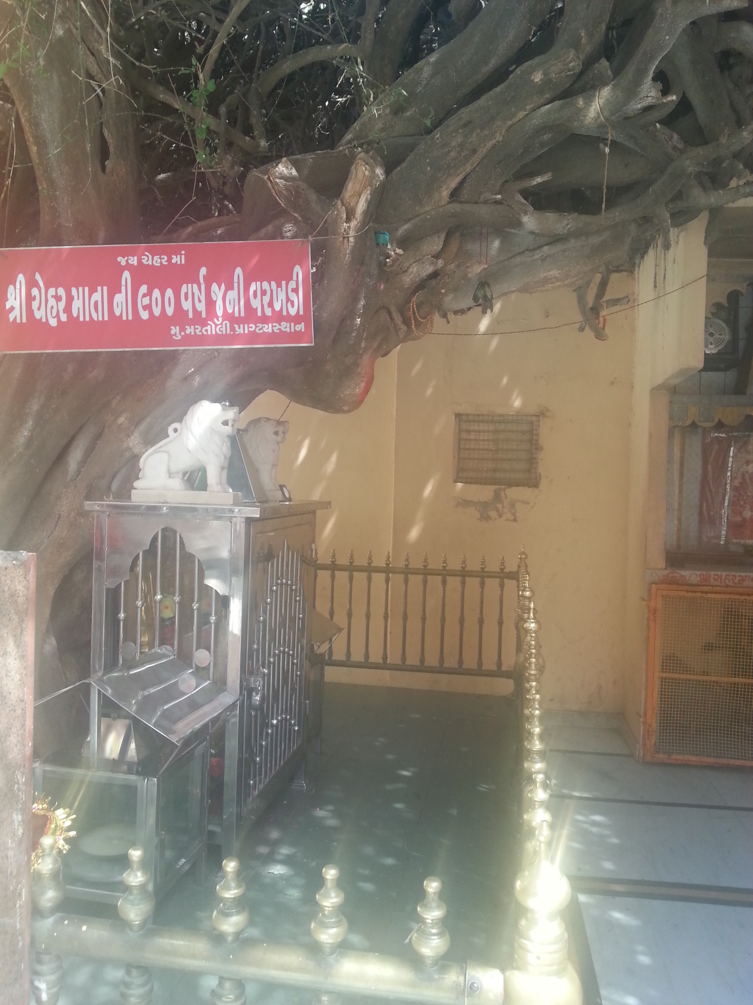 Sacred Tree At Gogaji Dham - Chehar Maa Martoli , HD Wallpaper & Backgrounds