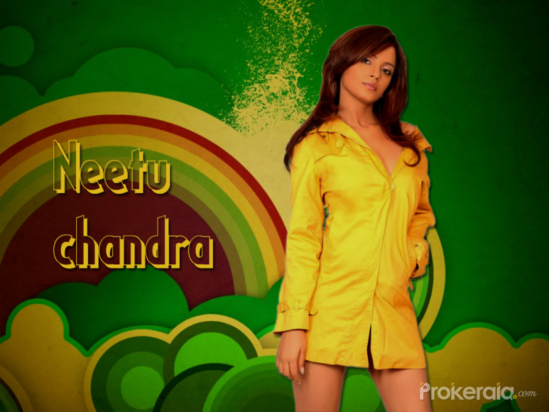 Neetu Chandra Wallpaper - Girl , HD Wallpaper & Backgrounds