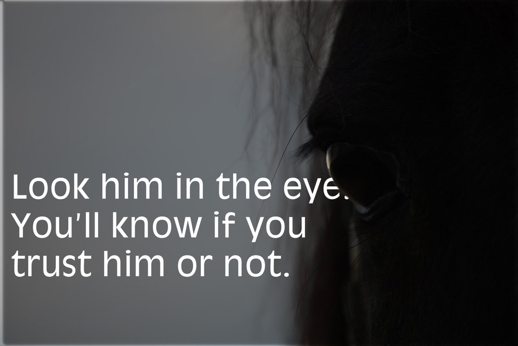 Trust Him - Look Him In The Eyes , HD Wallpaper & Backgrounds
