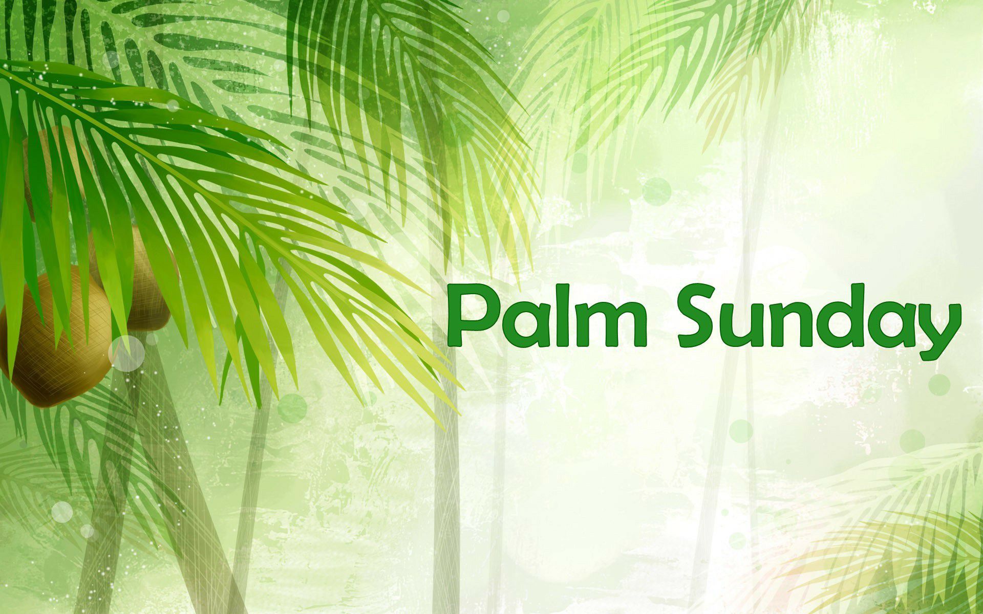 Palm Sunday Wallpaper For Iphone - Palm Sunday , HD Wallpaper & Backgrounds
