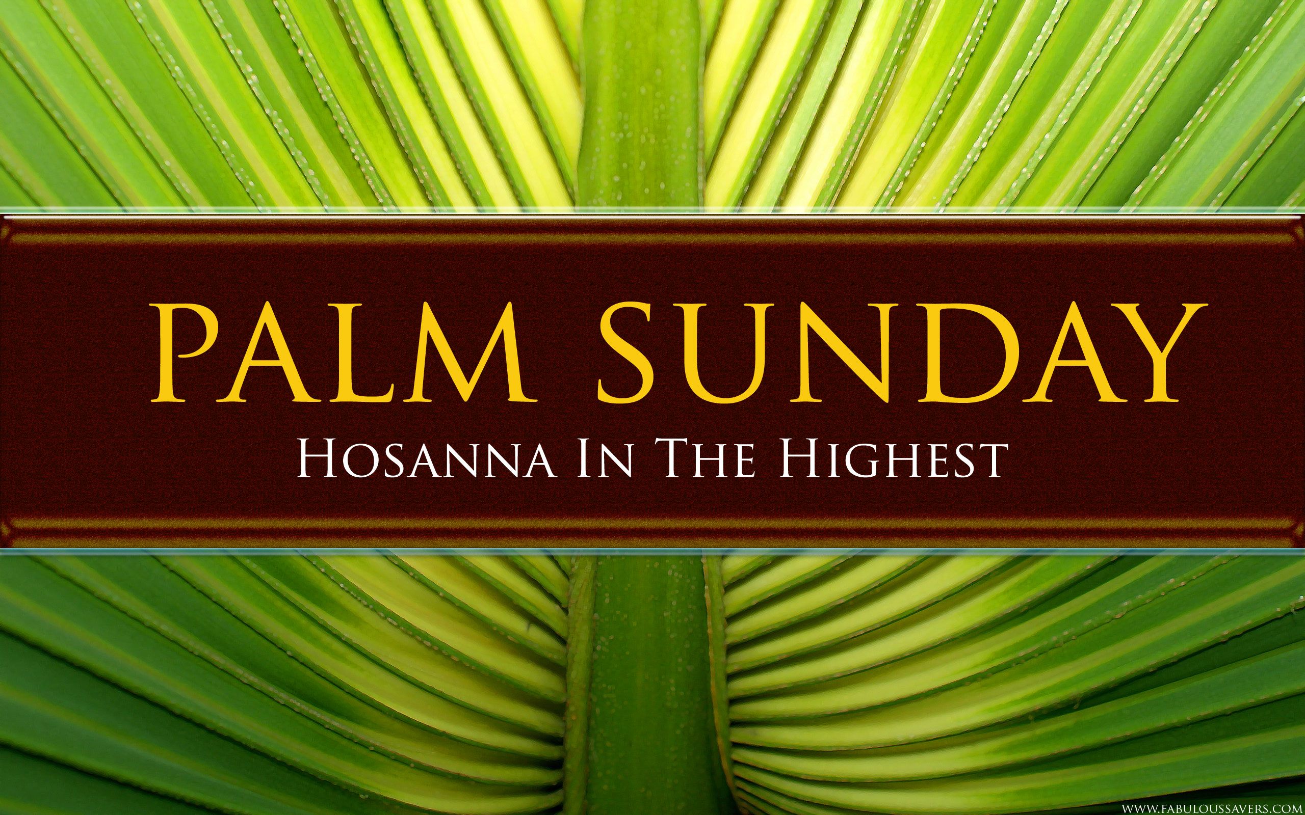 Palm Sunday 2014 Wallpapers Free Download Hd Backgrounds - Palm Sunday Wallpaper Background , HD Wallpaper & Backgrounds