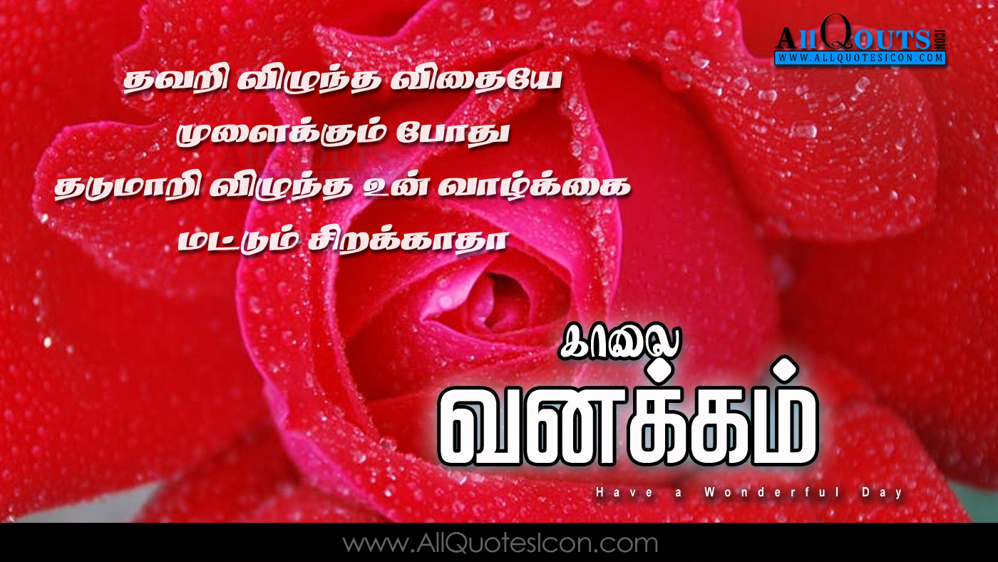 Good Morning Messages Images In Tamil Best Hd Wallpaper - Floribunda , HD Wallpaper & Backgrounds