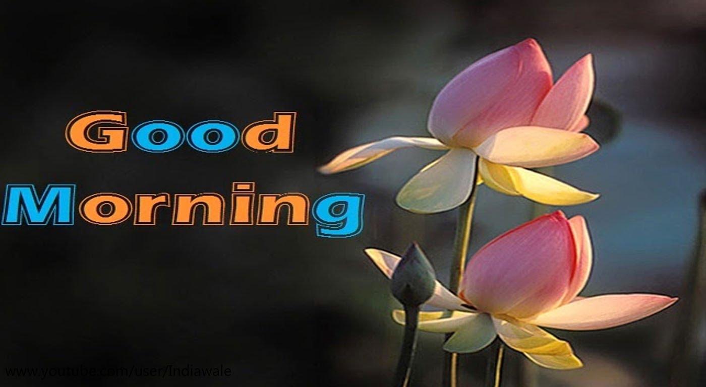 Download <== - Latest Photo Of Good Morning , HD Wallpaper & Backgrounds