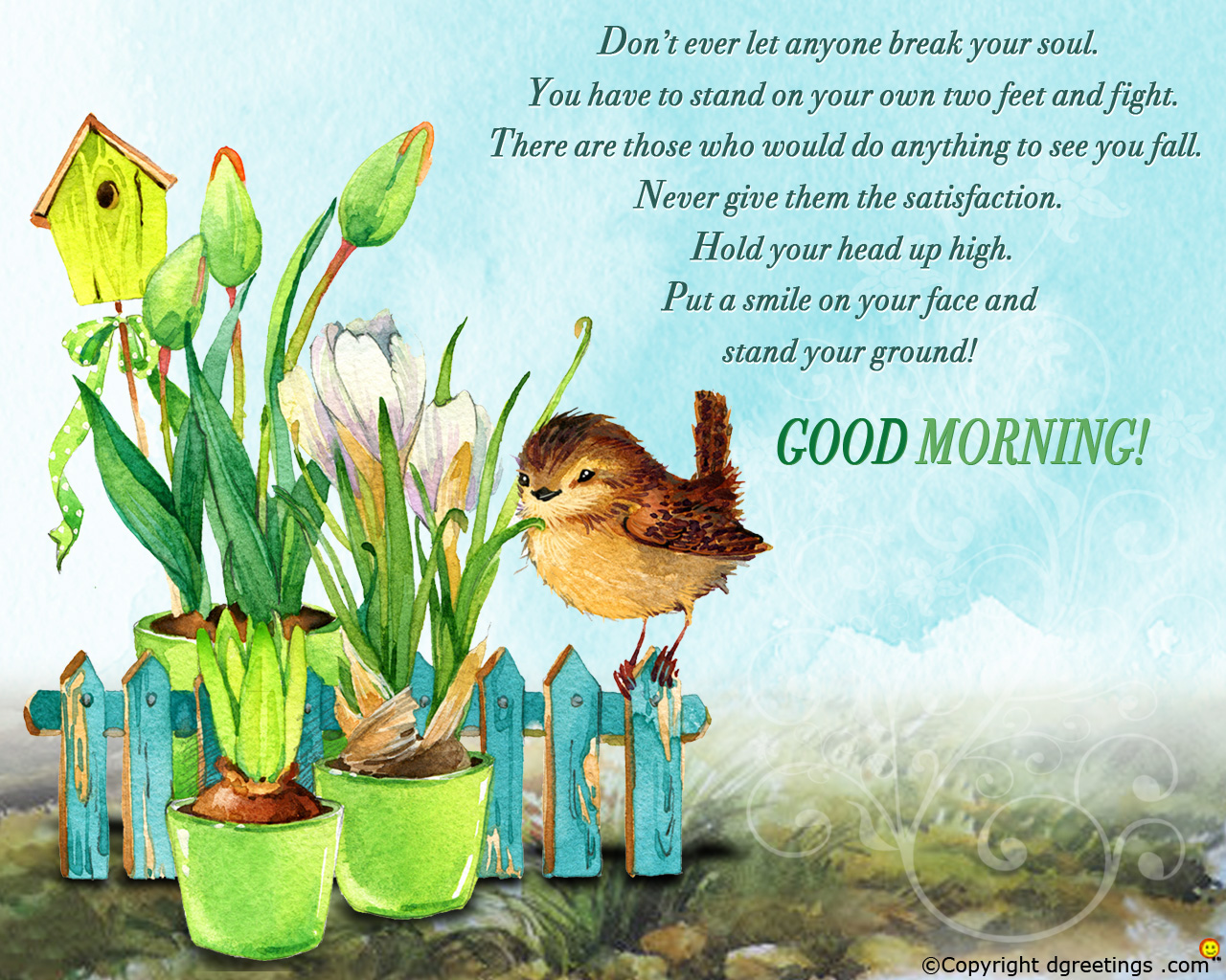 Good Morning Tuesday Satisfaction 771457 Hd Wallpaper