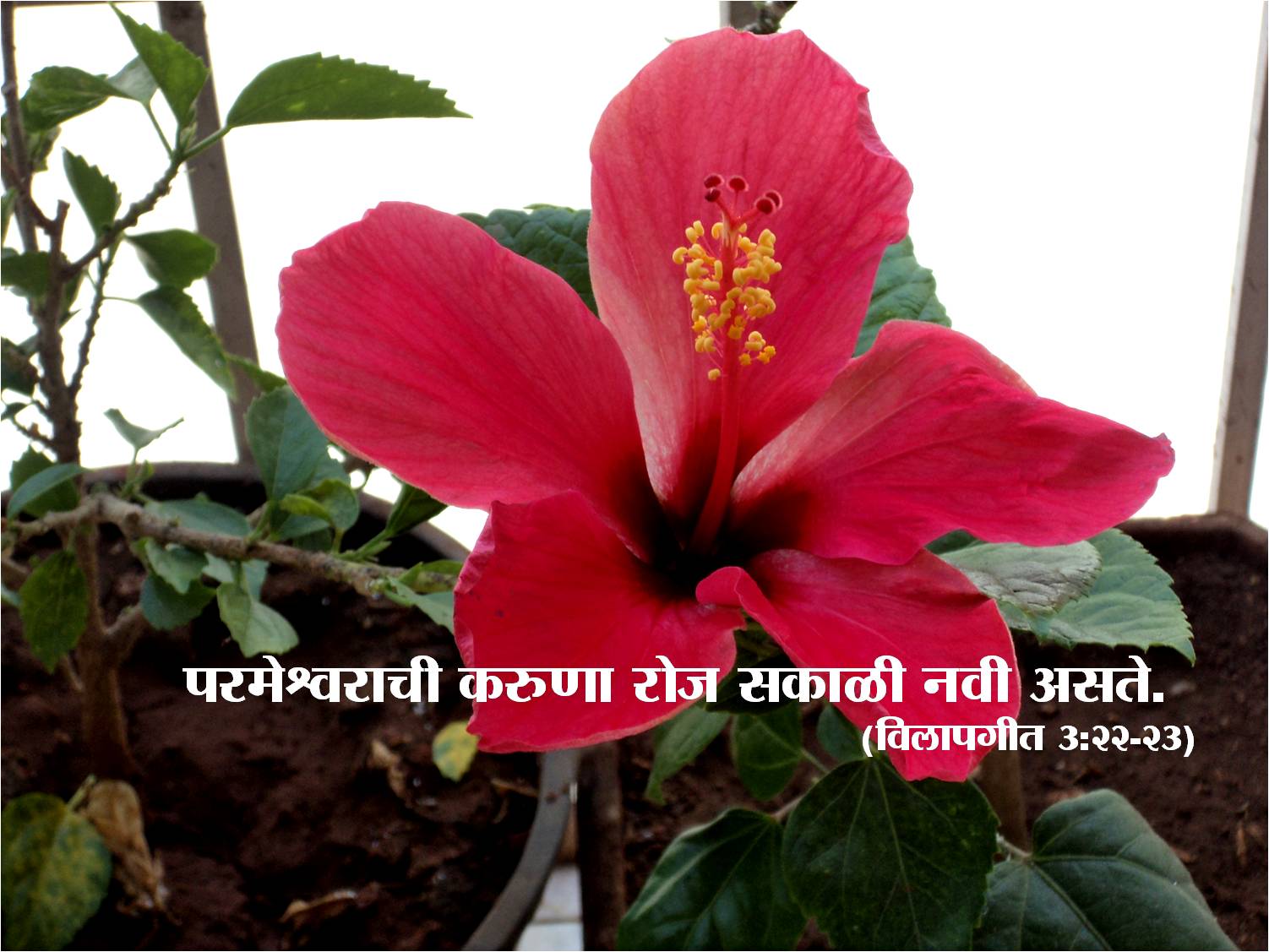 Good Morning In Marathi Word , HD Wallpaper & Backgrounds