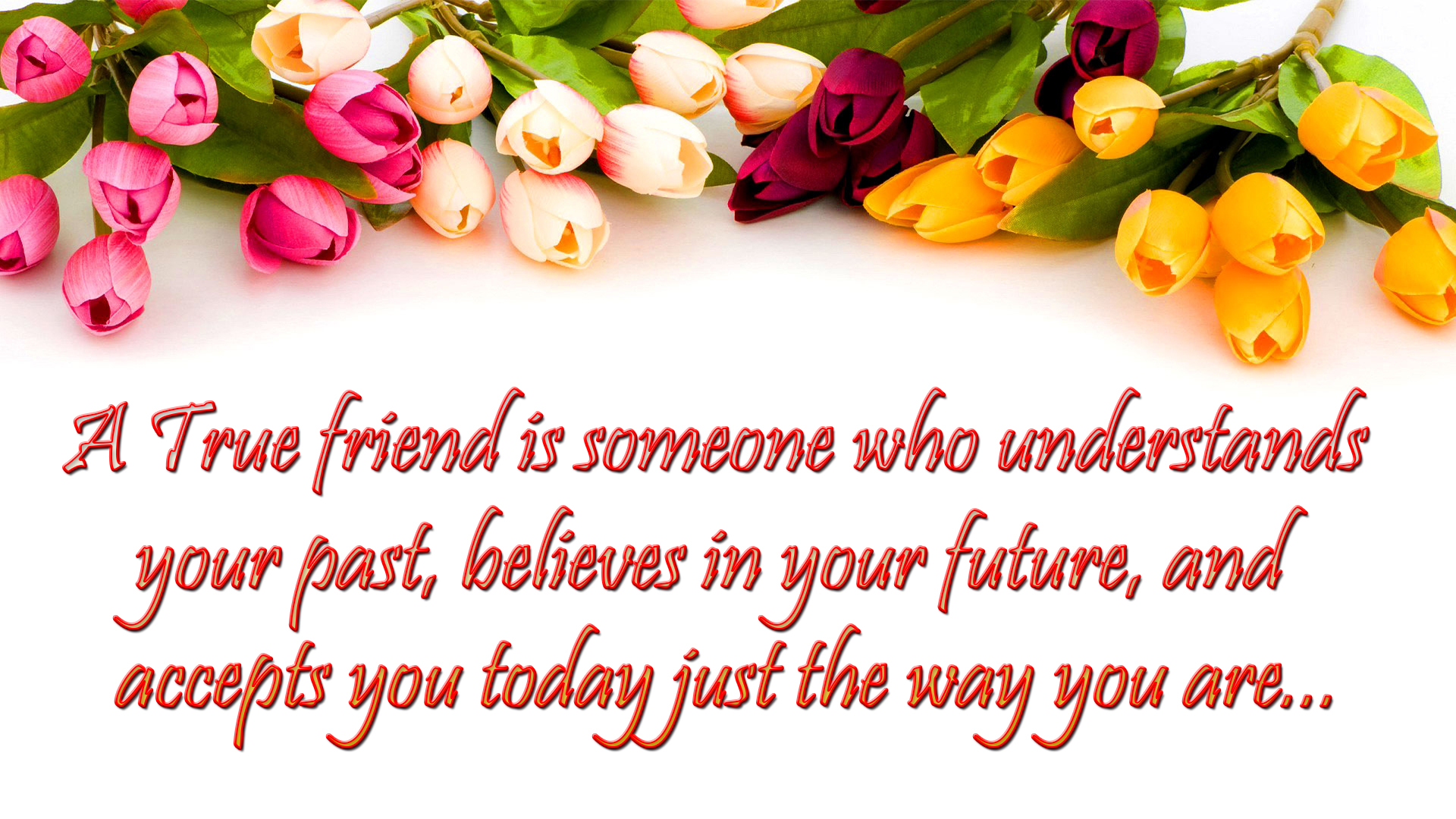 Beautiful Friendship Messages & Quotes Images - Congratulate You On March 8 , HD Wallpaper & Backgrounds