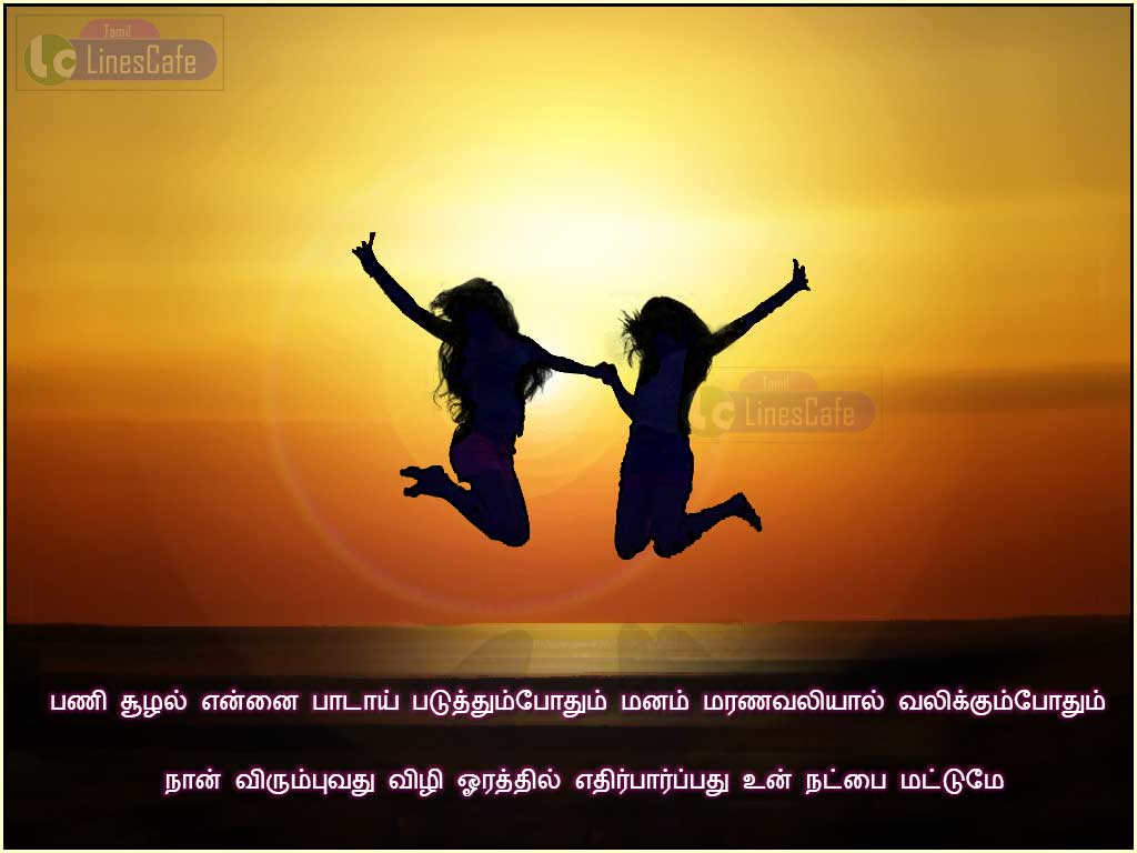 Friendship Quotes Wallpapers - Tamil Quotes For Friendship In Tamil Language , HD Wallpaper & Backgrounds