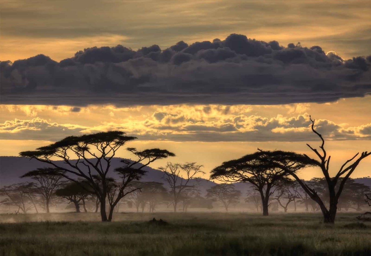 5 - Serengeti National Geographic , HD Wallpaper & Backgrounds