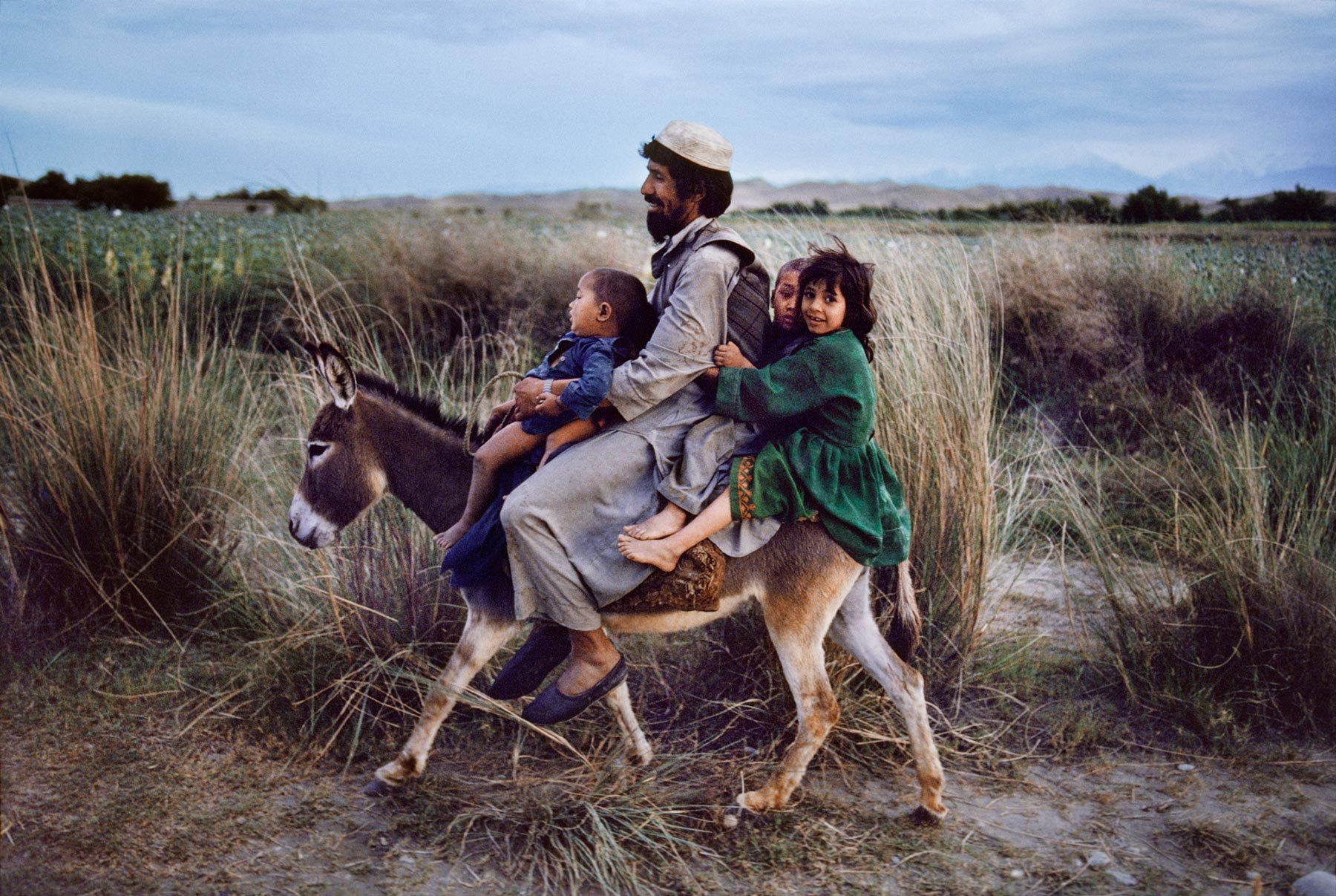 Afghanistan Wallpaper - Steve Mccurry A Life , HD Wallpaper & Backgrounds