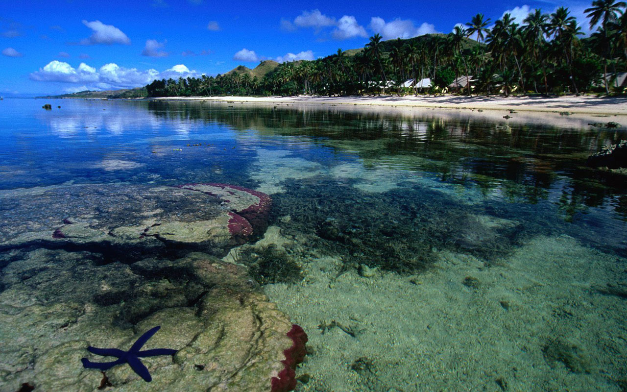 Beach Wallpaper And Background Image - Coral Coast Fiji , HD Wallpaper & Backgrounds