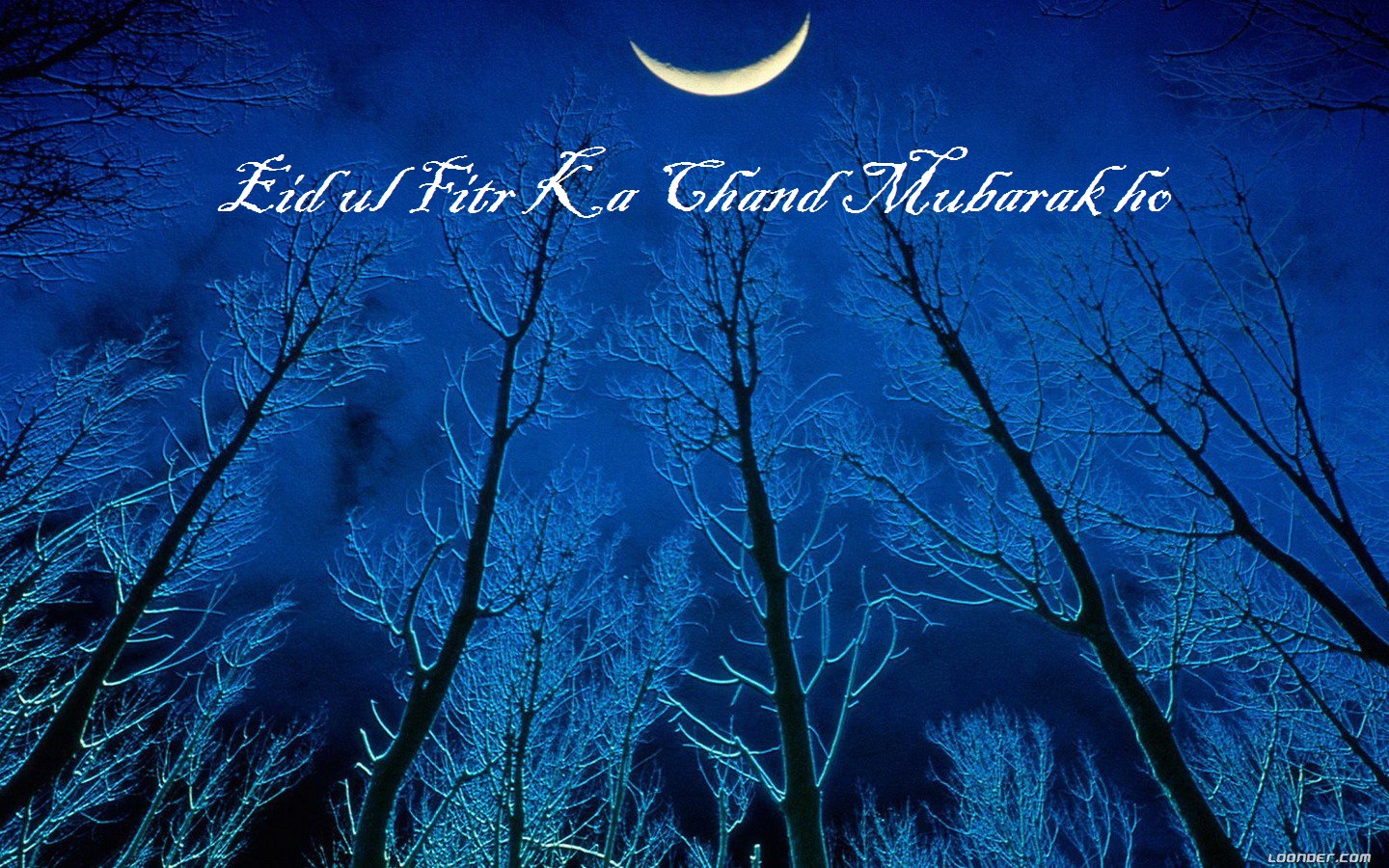 Beautiful Quotes Collection Of Wish You A Happy Eid - Landscape , HD Wallpaper & Backgrounds
