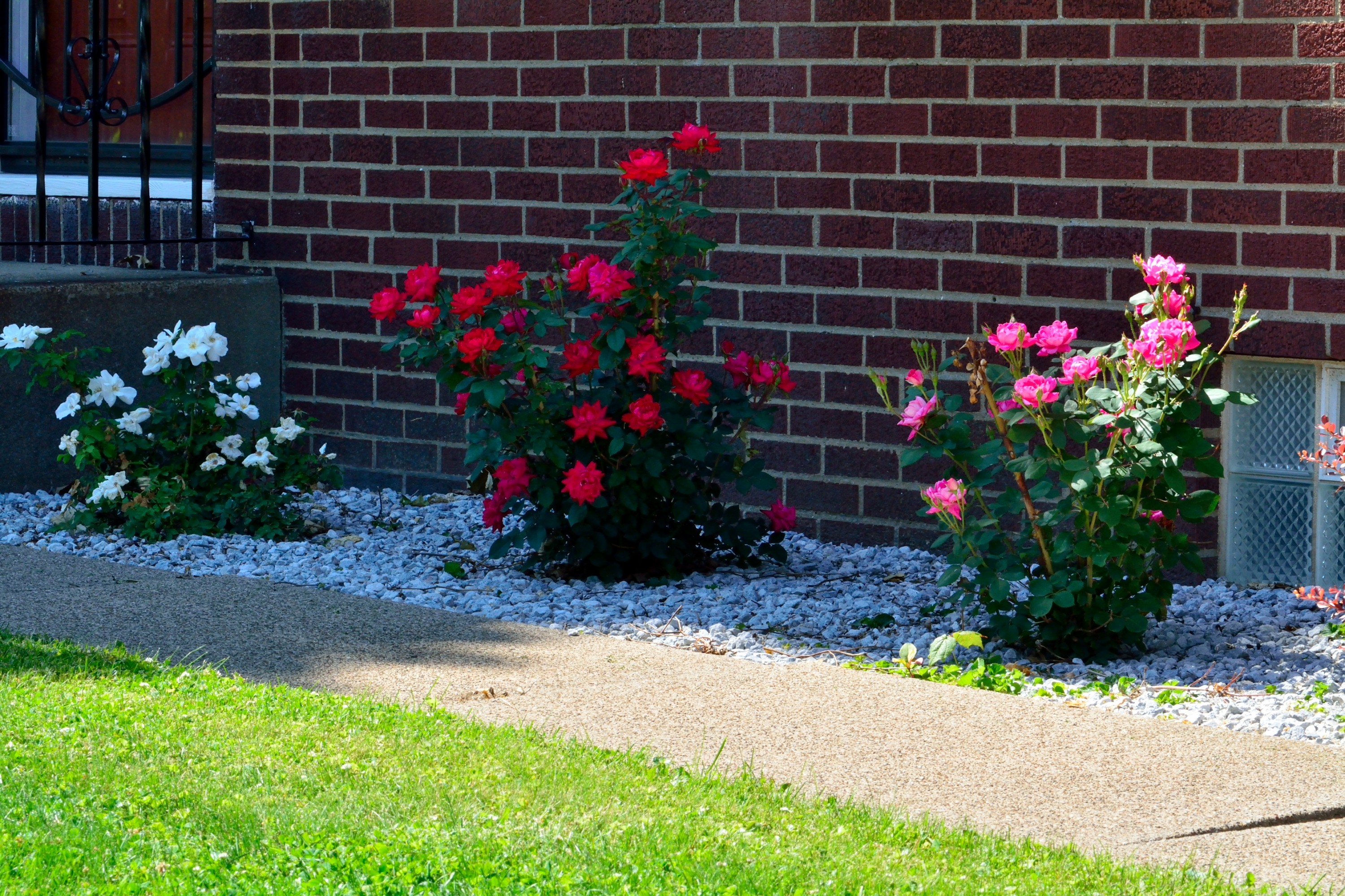 Flower Scene Spring Decor Beautiful Scenic Flowers - Fort Macon State Park , HD Wallpaper & Backgrounds