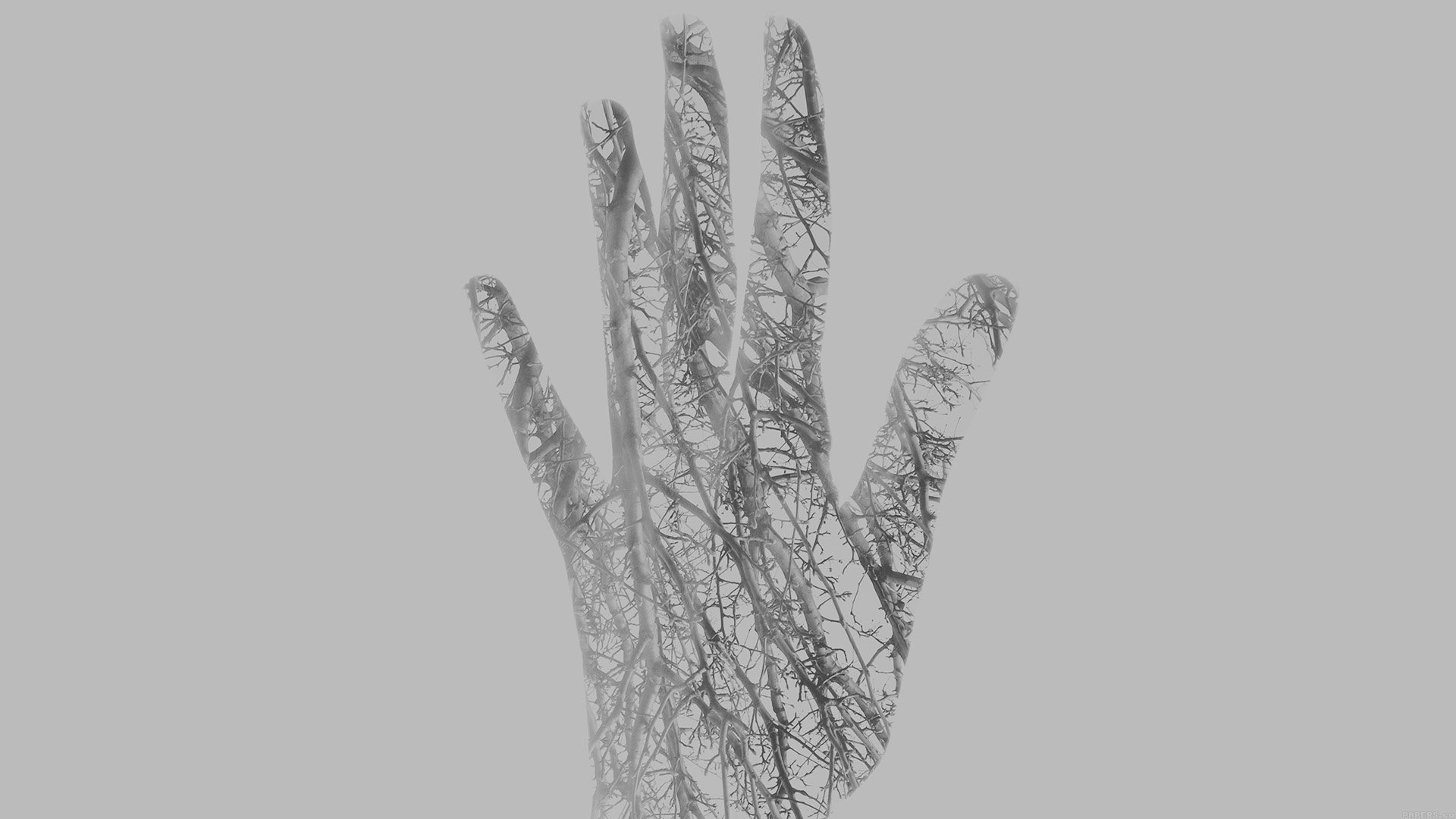 Hands, Fingers, Digital Art, Double Exposure, Trees, - Wallpaper , HD Wallpaper & Backgrounds