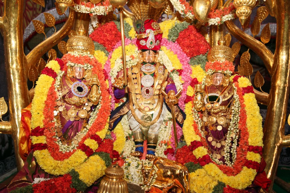 God Venkateswara Hd Wallpapers - Kalyana Pasupatheeswarar Temple Karur , HD Wallpaper & Backgrounds