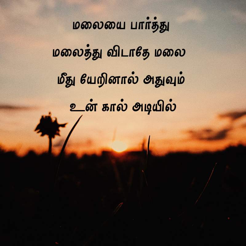 292 Best Motivational Quotes In Tamil Images For Students - Tamil Kavithaigal , HD Wallpaper & Backgrounds