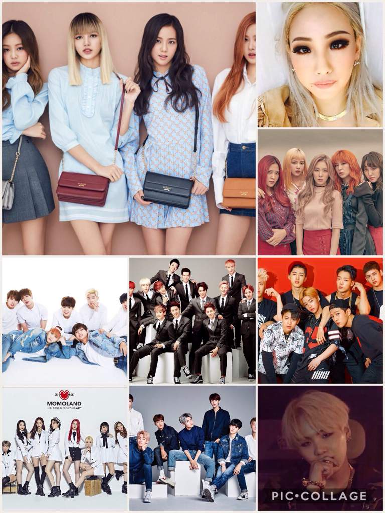 Red Velvet - Rose Blackpink , HD Wallpaper & Backgrounds