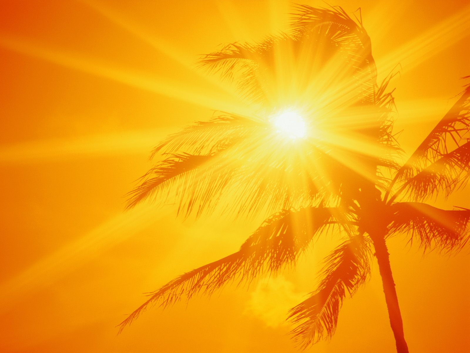 Ala Moana Beach Park Oahu Hawaii - Sun Shine , HD Wallpaper & Backgrounds