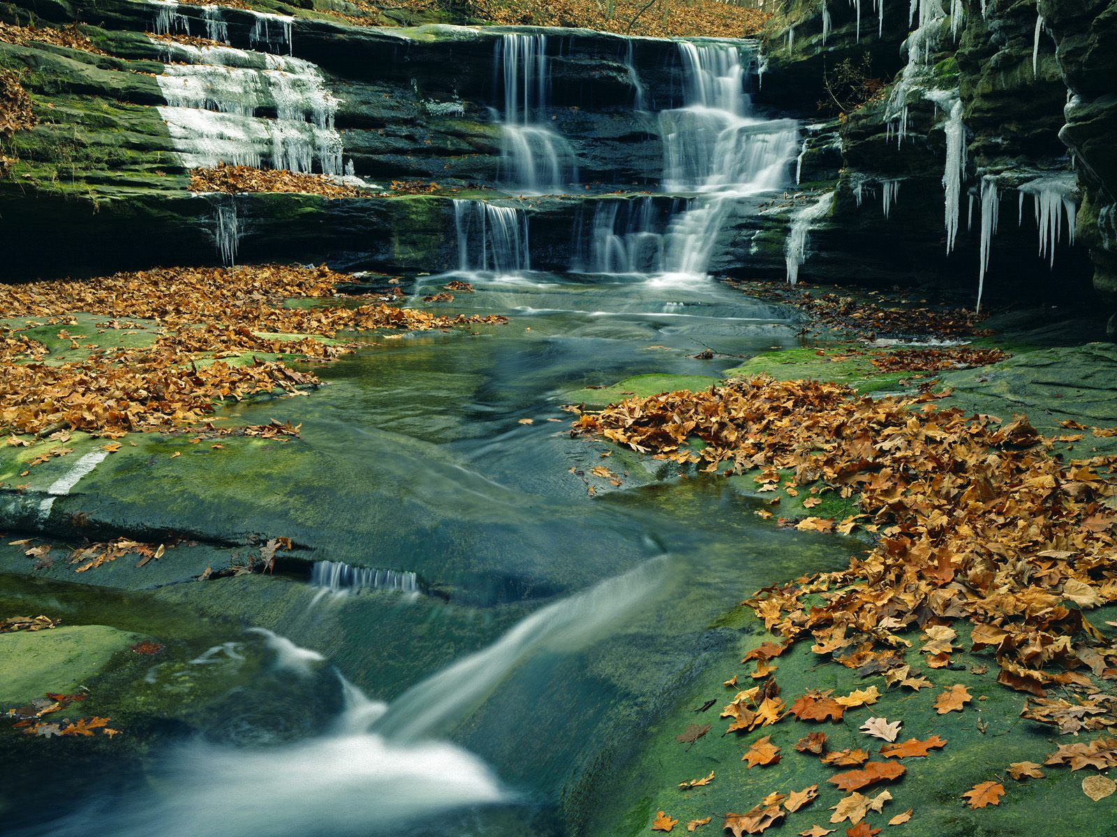 Amazing Wallpapers,amazing Nature,beautiful Nature - Starved Rock State Park , HD Wallpaper & Backgrounds