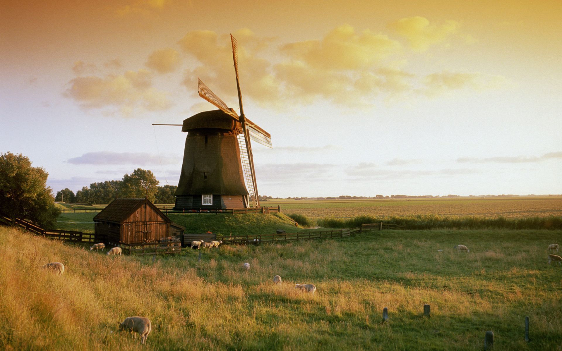 6695198 Windmill Wallpapers , HD Wallpaper & Backgrounds