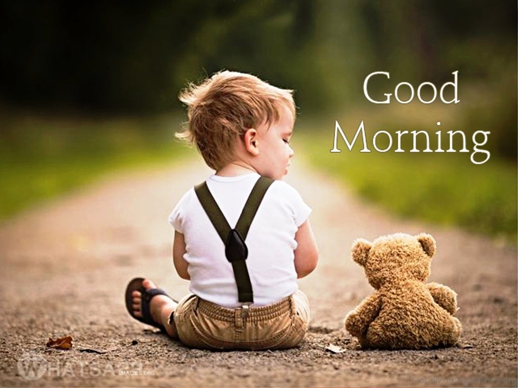 Good Morning Pic - Teddy Bear Good Morning , HD Wallpaper & Backgrounds