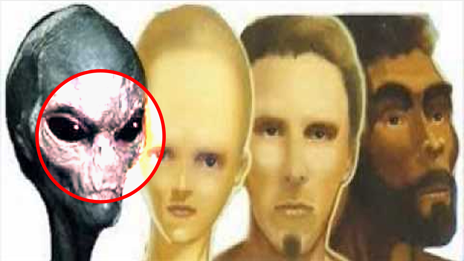 Los Humanos Son Descendientes De Los Alienígenas Según - Cartoon , HD Wallpaper & Backgrounds