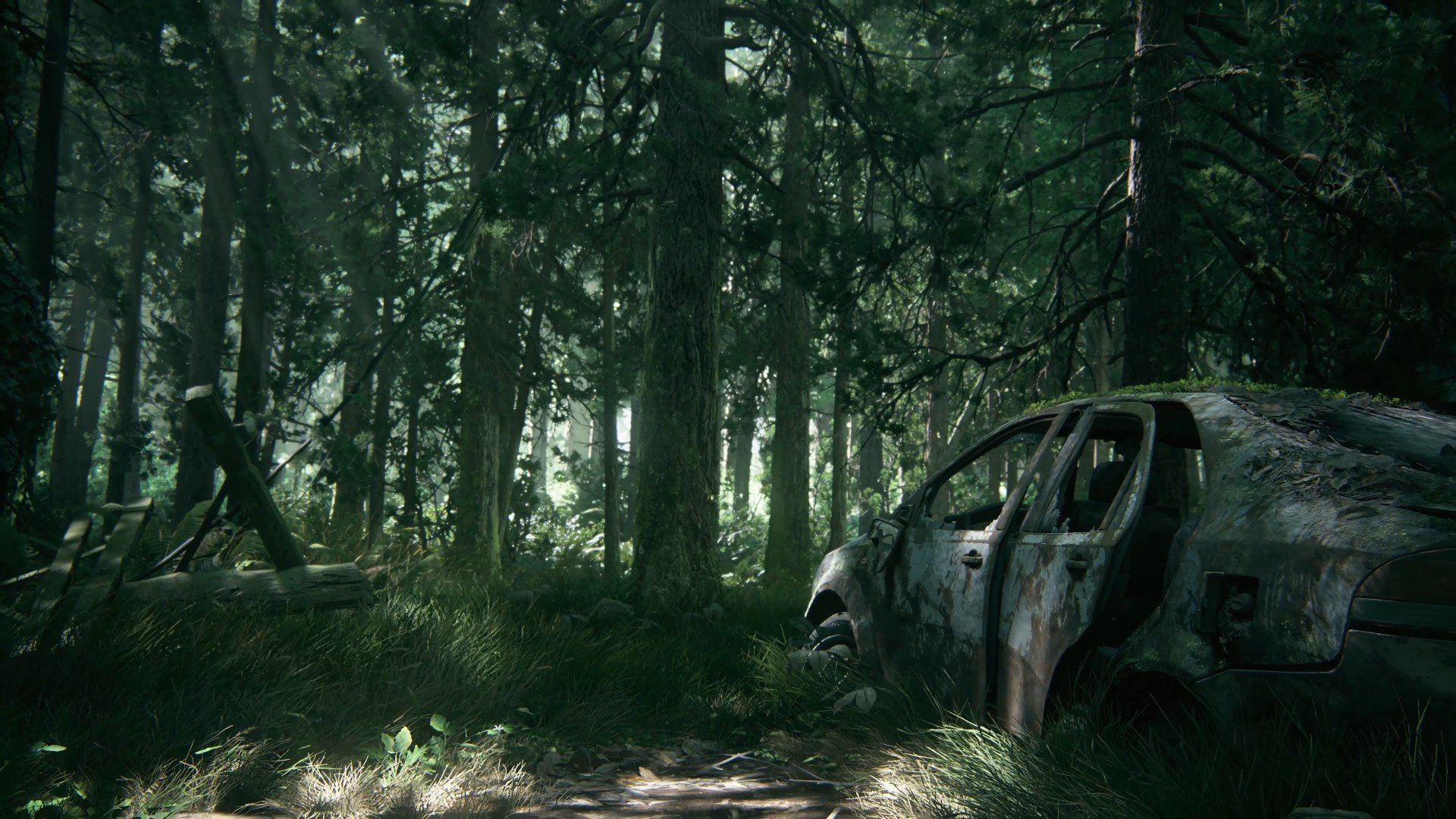 Ellie, The Last Of Us Part 2, The Last Of Us 2 Hd Wallpapers - Last Of Us 2 Background , HD Wallpaper & Backgrounds